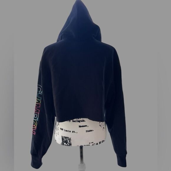 Champion Cropped Hoodie Sweatshirt Women Sz Med EUC - Picture 4 of 7